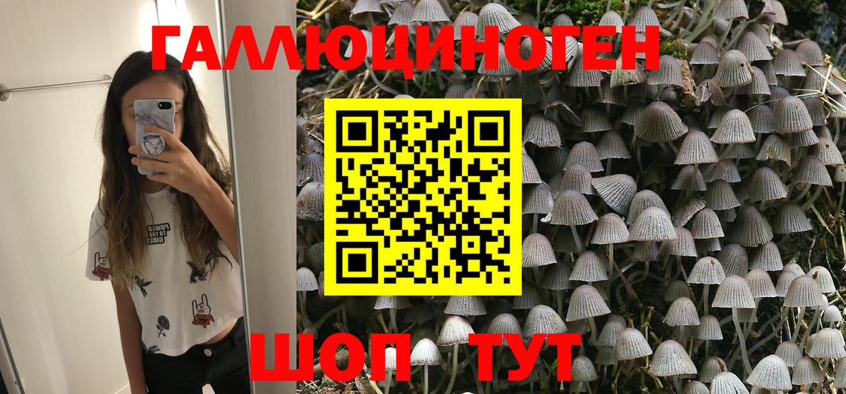 Кашира  Псилоцибиновые грибы Psilocybe  Вход с VPN 